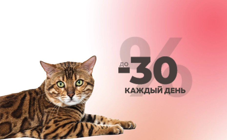 21vek